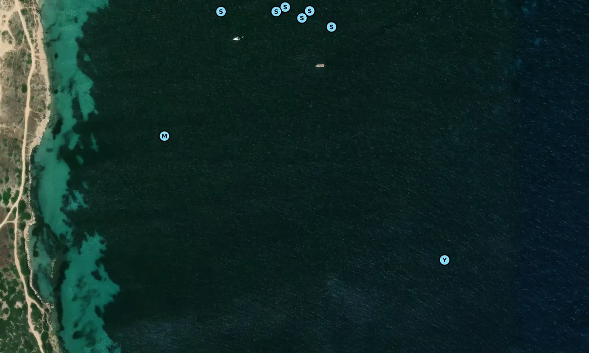 Satelite image of Tharros