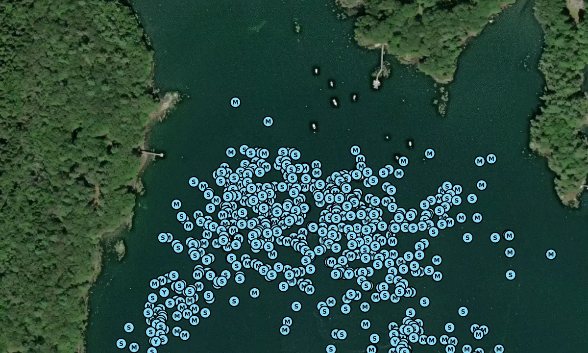 Satelite image of The Basin
