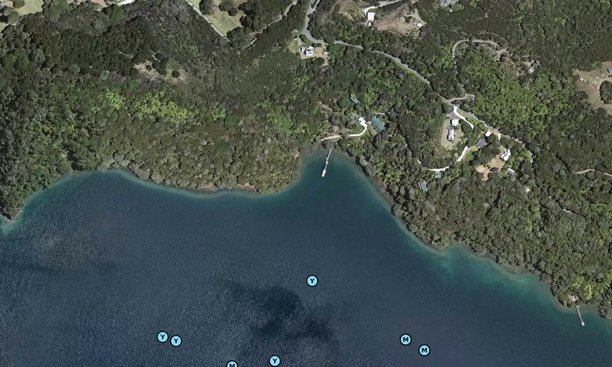 Satelite image of The jetty