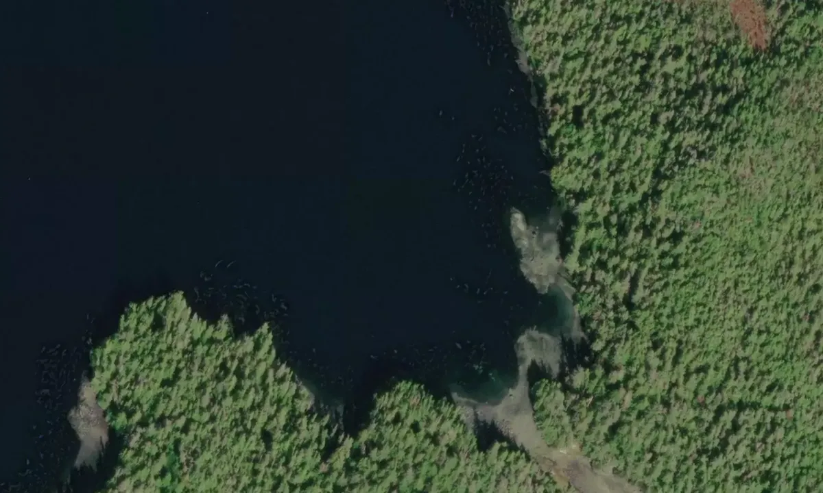 Satelite image of The Narrows Cove