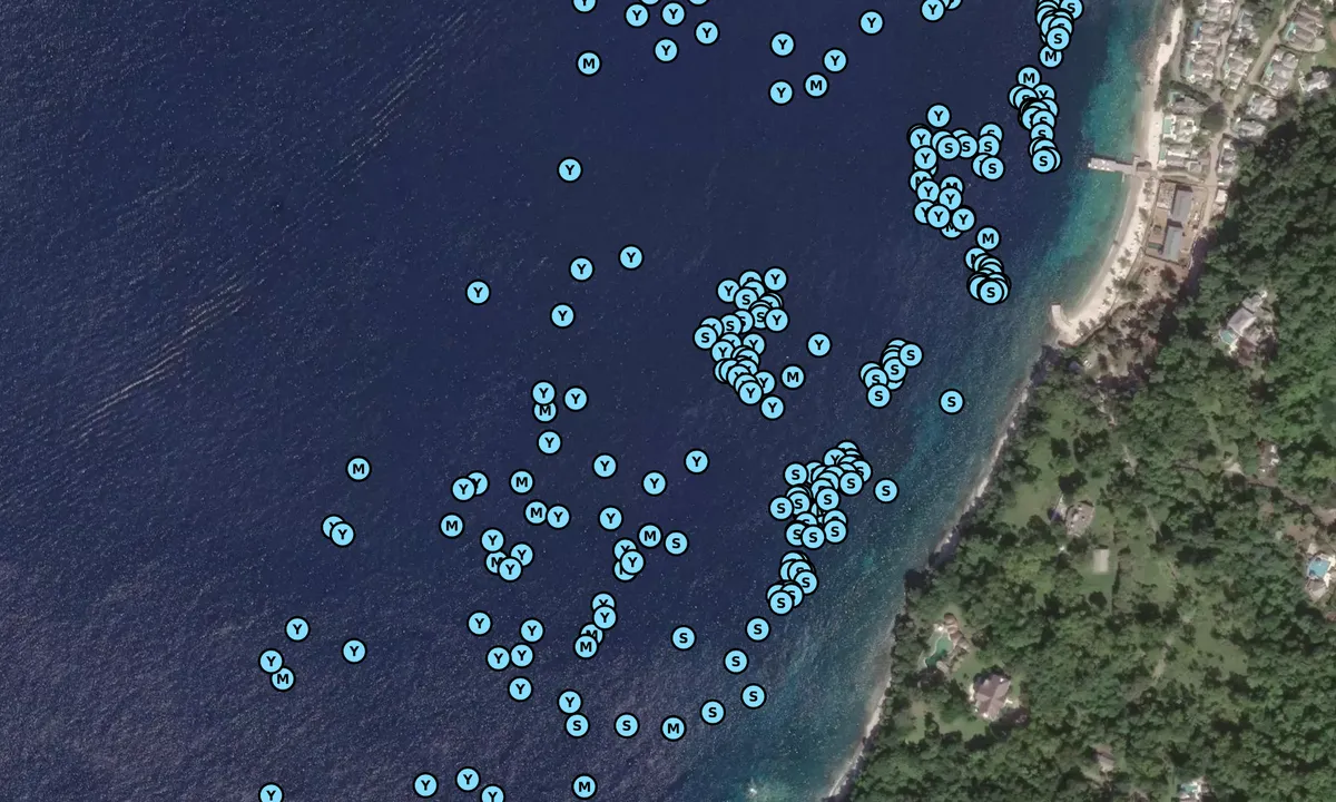 Satelite image of The Pitons