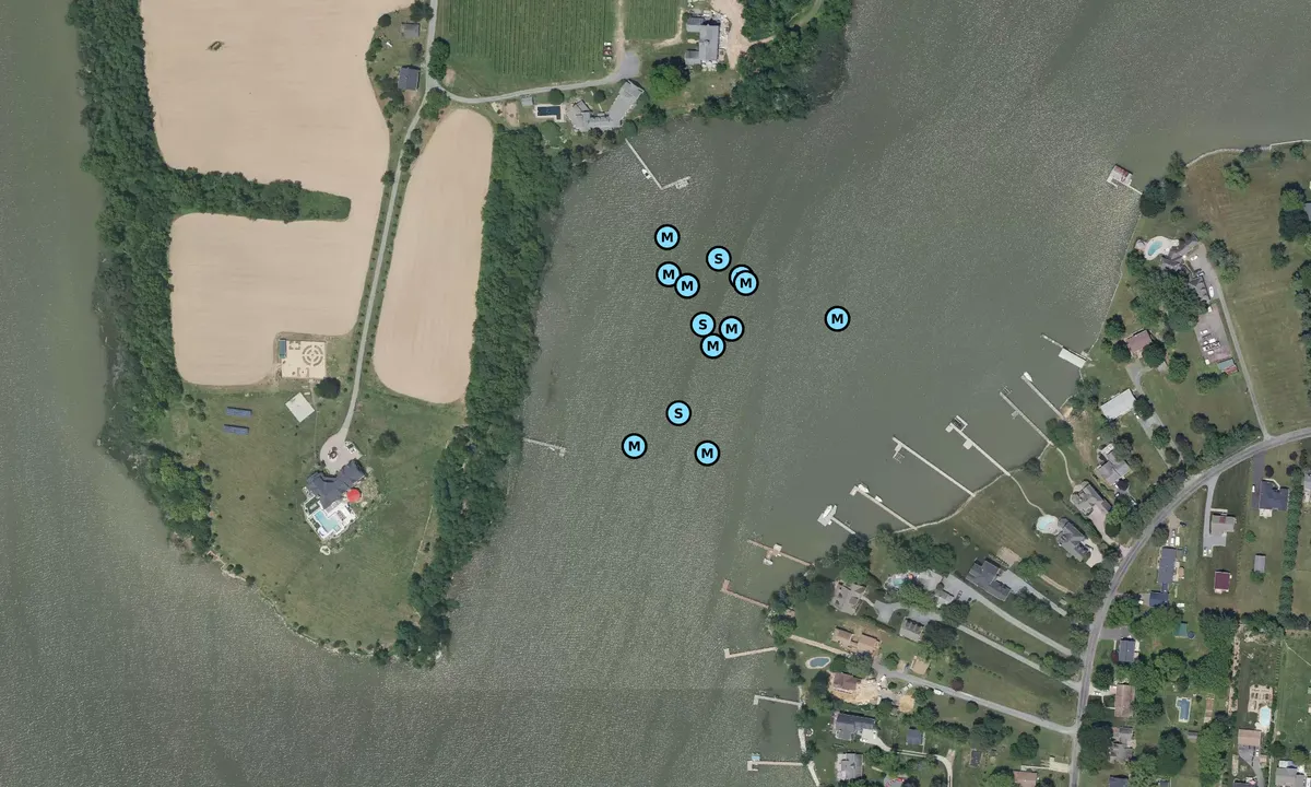 Satelite image of Thompson Creek 1