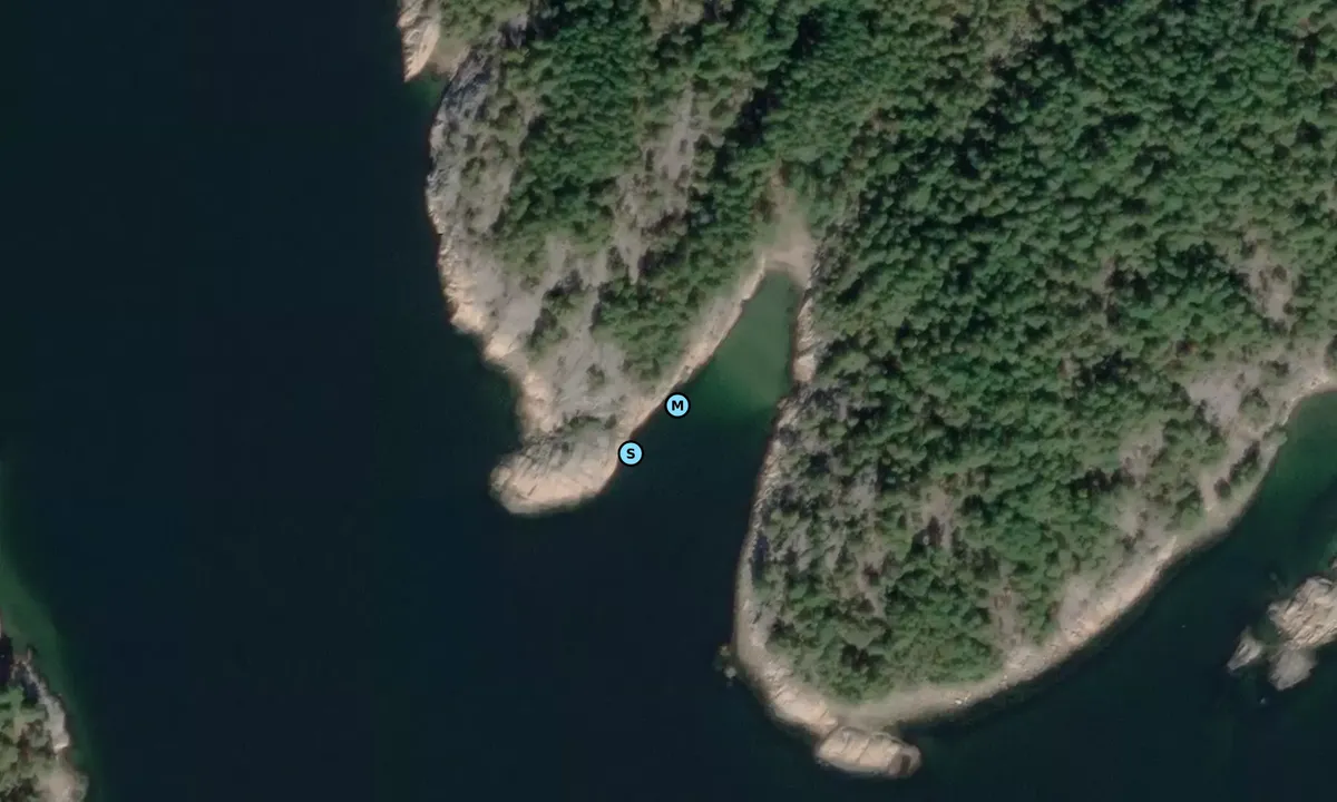 Satelite image of Thorsøkalven