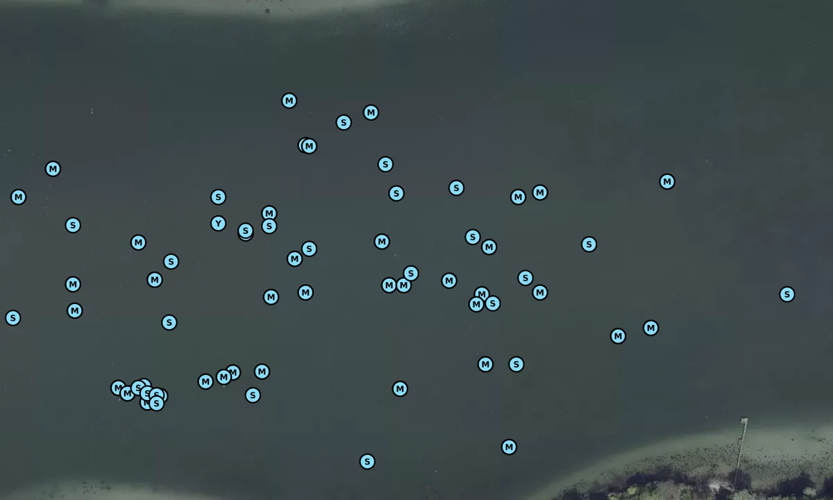 Satelite image of Thurø Bund