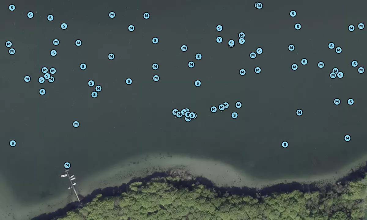 Satelite image of Thurøbund bouy