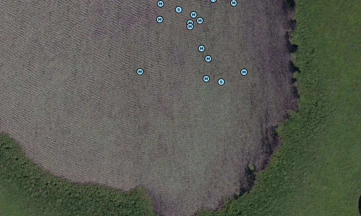 Satelite image of Thursday Cove