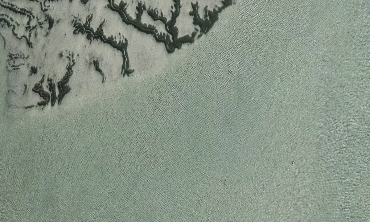 Flyfoto av Tiger Island