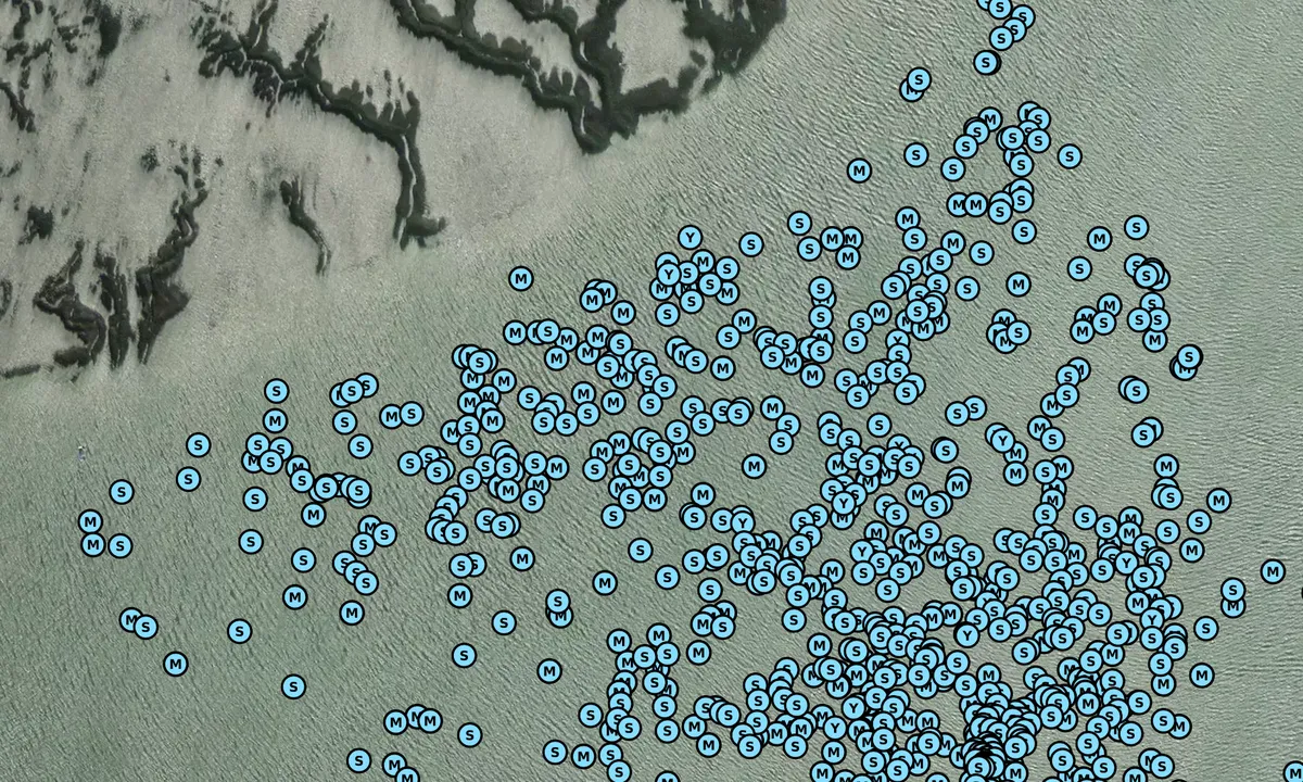 Satelite image of Tiger Island