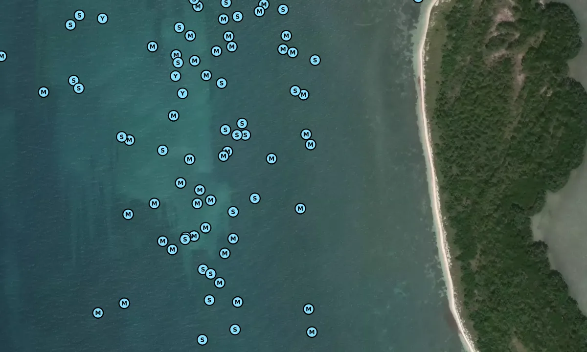 Satelite image of Tin Tin Key