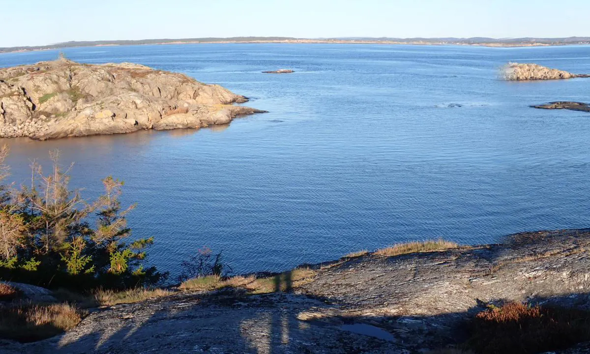 Tisler Syd: Bøya ligger fint til, god beskyttelse, helt grei roavstand til stranda.