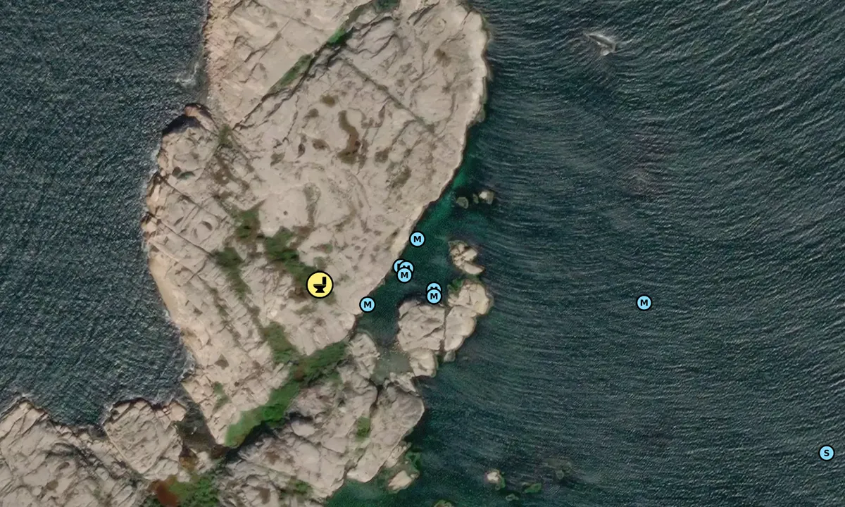 Satelite image of Tjällsö holme
