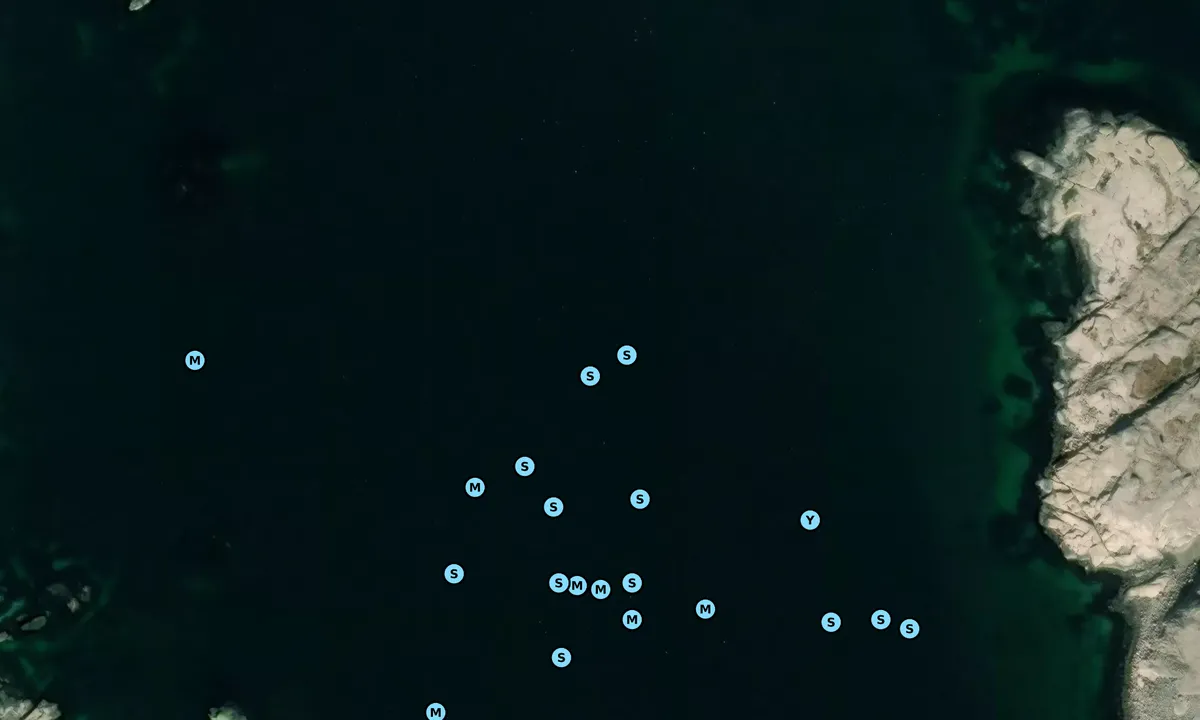 Satelite image of Tjällsöbukten