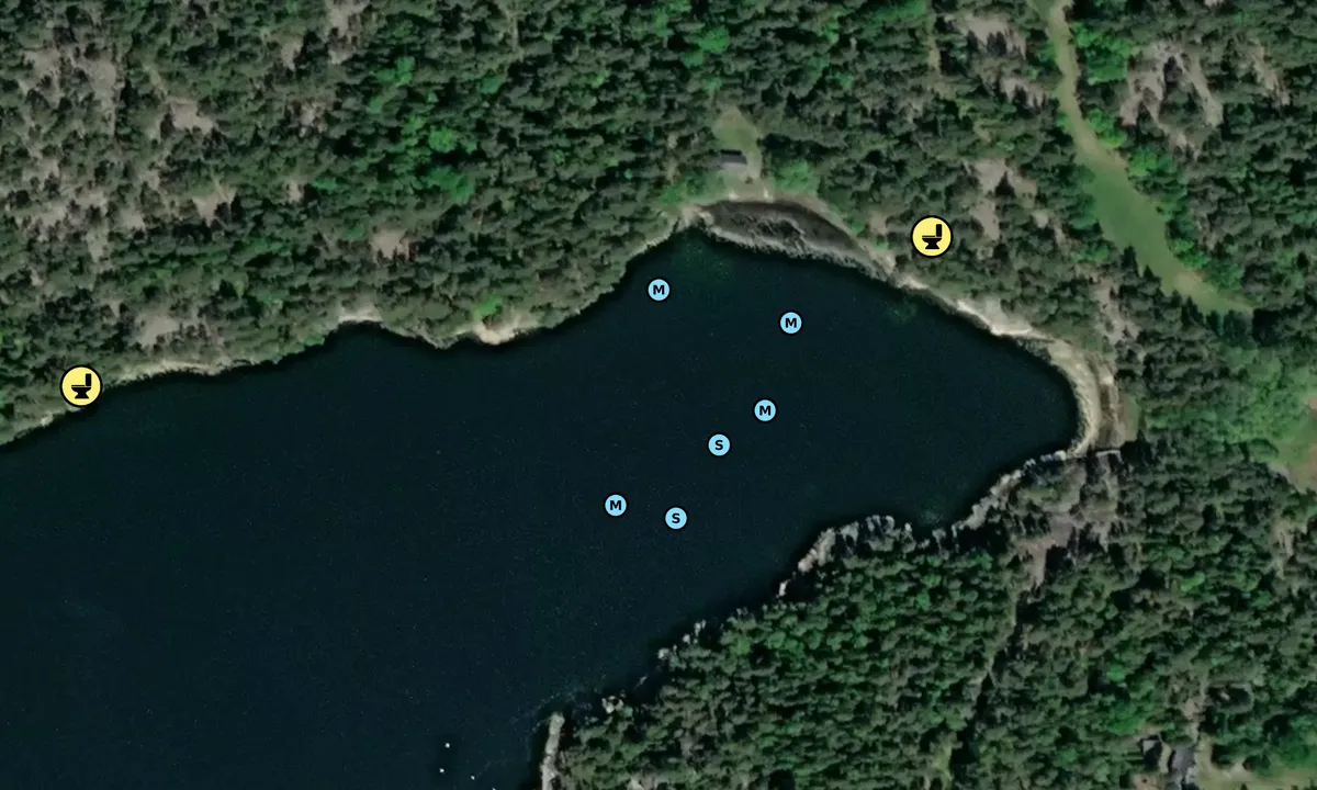 Satelite image of Tjockholmen