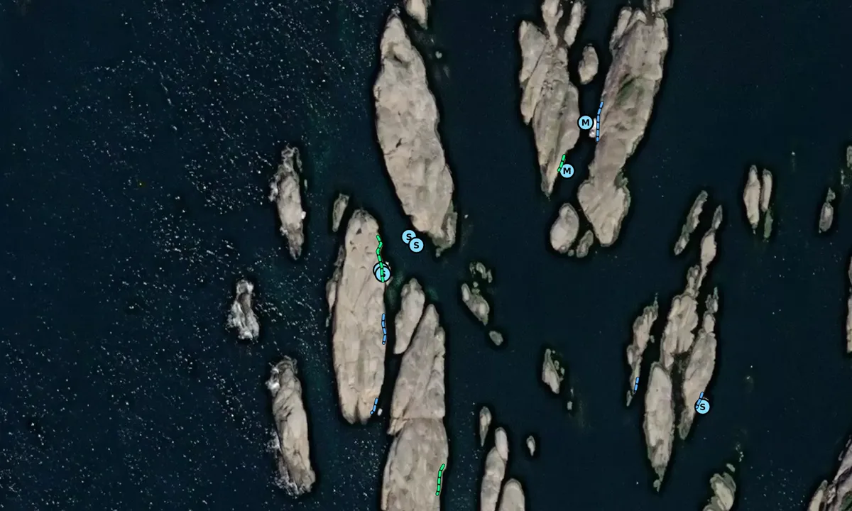Goneskjæra: Satelite image of Tjøme - Dirhue