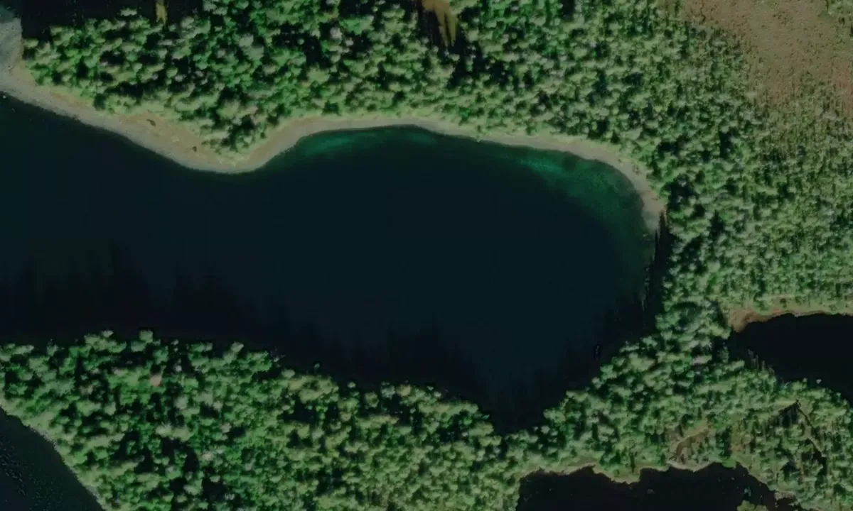 Satelite image of Tlevak Narrows Cove