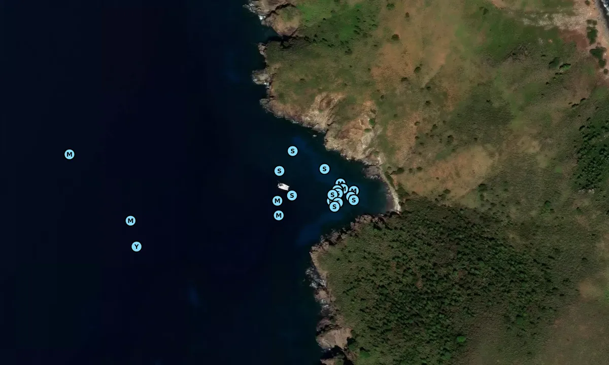 Satelite image of Tobago West (snorkle site)
