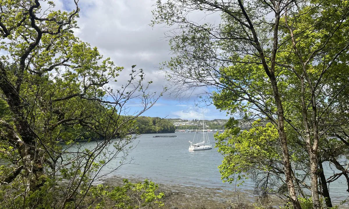{"base": "en", "no": "S\u00f8rankringen med utsikt mot Tobermory", "se": "Den s\u00f6dra ankarplatsen med utsikt mot Tobermory", "en": "The South Anchorage looking towards Tobermory", "da": "Sydankringen med udsigt mod Tobermory", "fr": "Le Mouillage Sud en direction de Tobermory", "de": "Der s\u00fcdliche Ankerplatz mit Blick auf Tobermory", "es": "El fondeadero sur mirando hacia Tobermory", "it": "L'ancoraggio sud guardando verso Tobermory", "pt": "A \u00c2ncora Sul olhando em dire\u00e7\u00e3o a Tobermory", "nl": "Het Zuidankerplaats met uitzicht op Tobermory", "pl": "Kotwicowisko Po\u0142udniowe z widokiem na Tobermory", "uk": "\u041f\u0456\u0432\u0434\u0435\u043d\u043d\u0430 \u044f\u043a\u0456\u0440\u043d\u0430 \u0441\u0442\u043e\u044f\u043d\u043a\u0430 \u0437 \u0432\u0438\u0434\u043e\u043c \u043d\u0430 \u0422\u043e\u0431\u0435\u0440\u043c\u043e\u0440\u0456", "ro": "Ancorajul Sudic privind spre Tobermory", "tr": "G\u00fcney Demirleme Alan\u0131'ndan Tobermory'ye bak\u0131\u015f", "el": "\u0397 \u039d\u03cc\u03c4\u03b9\u03b1 \u0391\u03b3\u03ba\u03c5\u03c1\u03bf\u03b2\u03bf\u03bb\u03af\u03b1 \u03bc\u03b5 \u03b8\u03ad\u03b1 \u03c0\u03c1\u03bf\u03c2 Tobermory", "cs": "Ji\u017en\u00ed kotvi\u0161t\u011b s v\u00fdhledem na Tobermory", "hu": "A d\u00e9li horgonyz\u00f3hely Tobermory fel\u00e9 n\u00e9z", "fi": "Etel\u00e4inen ankkuripaikka kohti Tobermorya", "bg": "\u042e\u0436\u043d\u0430\u0442\u0430 \u043a\u043e\u0442\u0432\u0435\u043d\u0430 \u0441\u0442\u043e\u044f\u043d\u043a\u0430 \u0441 \u043f\u043e\u0433\u043b\u0435\u0434 \u043a\u044a\u043c \u0422\u043e\u0431\u0435\u0440\u043c\u043e\u0440\u0438", "sr": "Ju\u017eno sidri\u0161te s pogledom prema Tobermoriju", "et": "L\u00f5una ankruala vaatega Tobermory poole", "lv": "Dienvidu enkura vieta, skatoties uz Tobermory", "lt": "Pietin\u0117 inkaravimo vieta \u017ei\u016brint Tobermory link"}