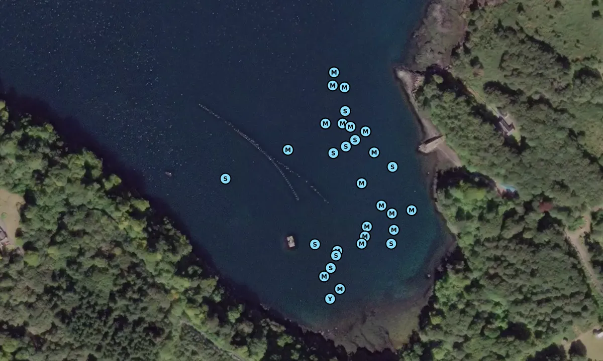 Satelite image of Tobermory Bay South