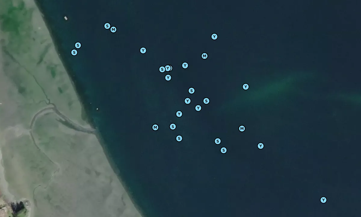 Satelite image of Tofino Visiting