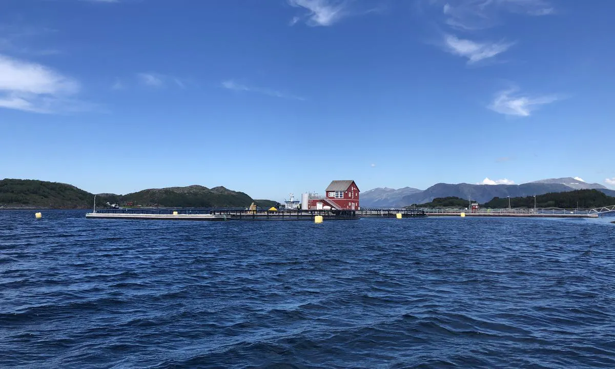Toft: {"base": "no", "no": "Fiskebruk rett utenfor havna", "se": "Fiskebruk precis utanf\u00f6r hamnen", "en": "Fish processing facility right outside the harbour", "da": "Fiskebruk lige uden for havnen"}