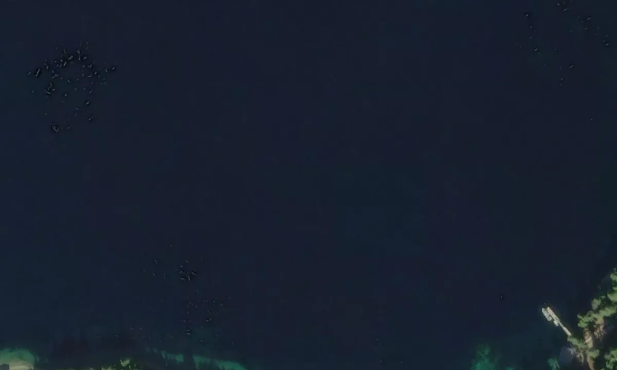 Satelite image of Tokeen Cove