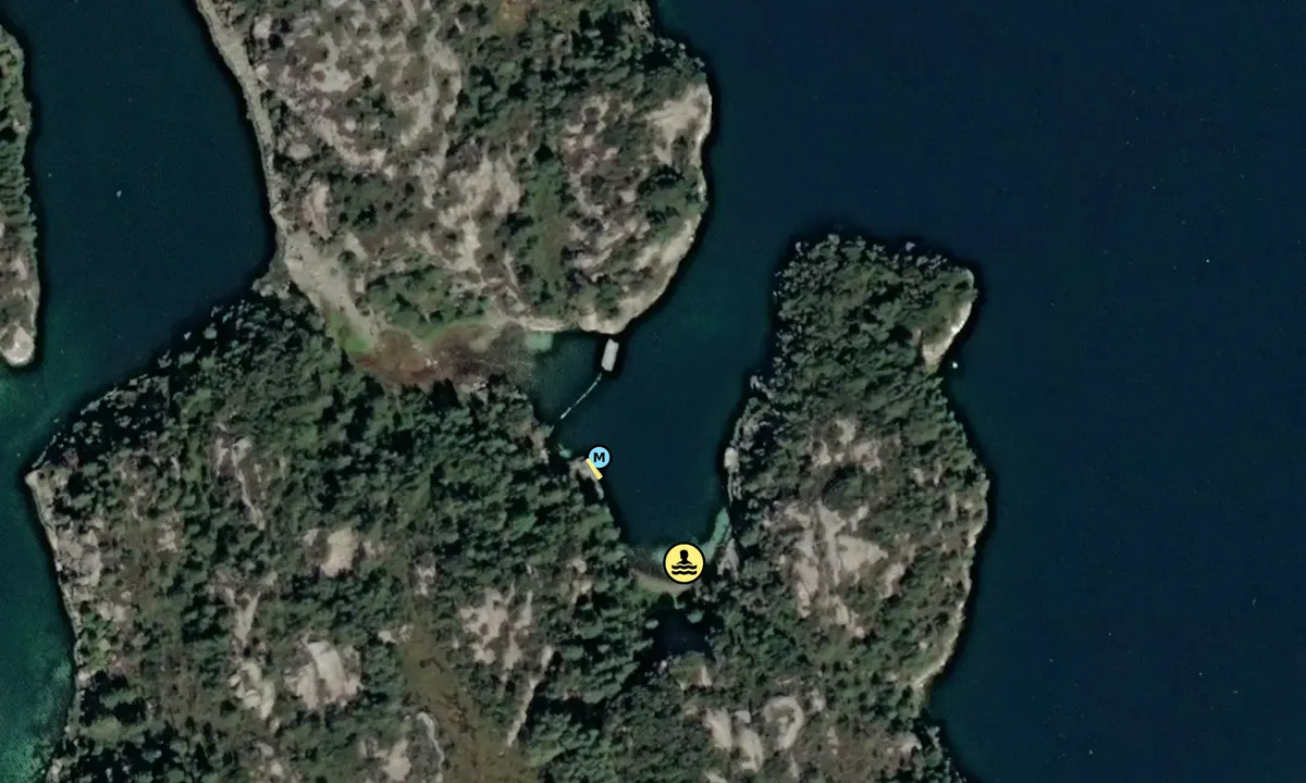 Satelite image of Tøkjesvågen