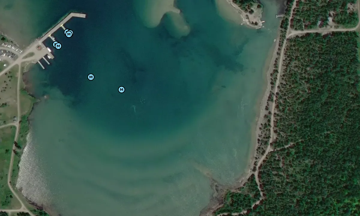 Satelite image of Tolsmaville