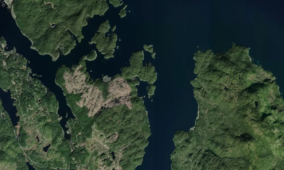Flyfoto av Tolstoi Bay