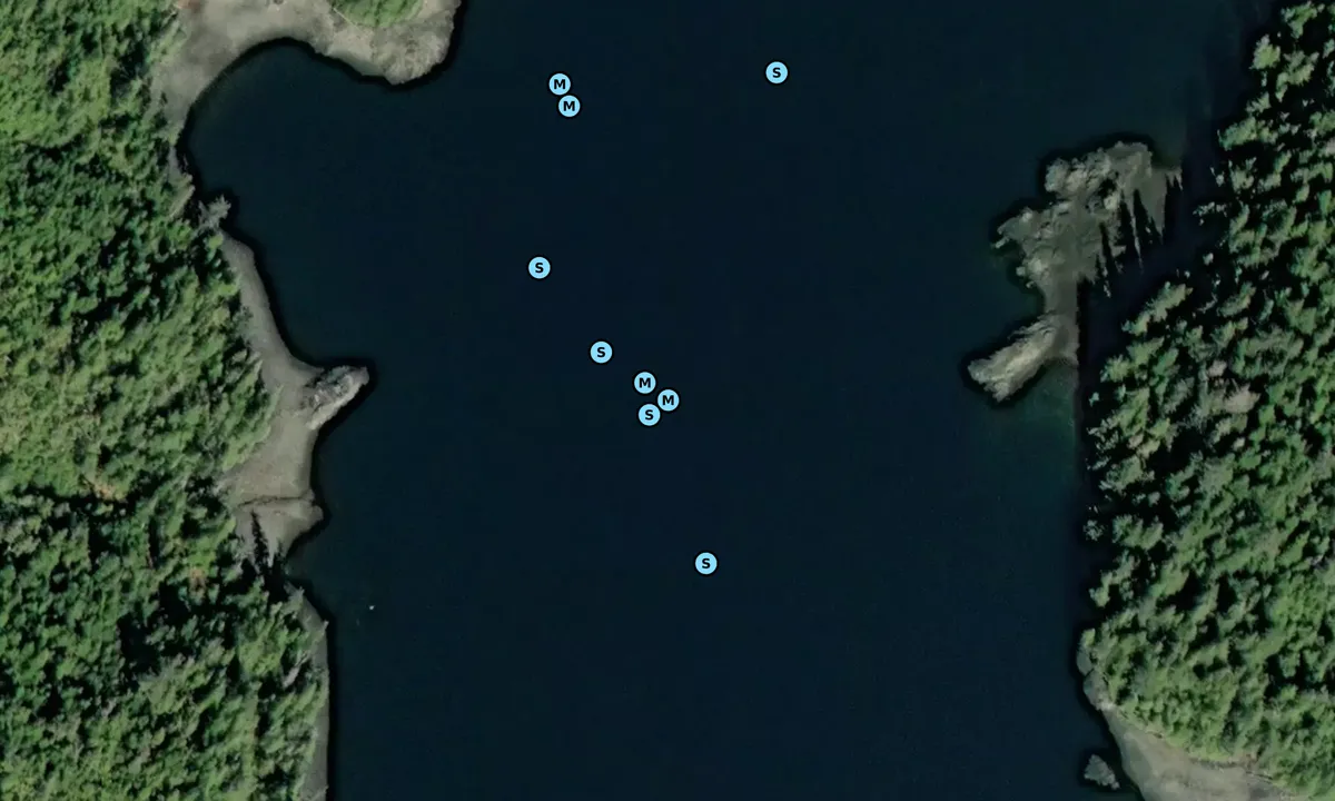 Satelite image of Tolstoi Bay