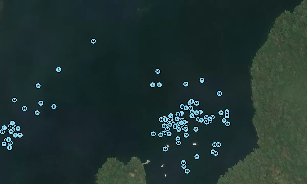 Satelite image of Tom Cod Cove