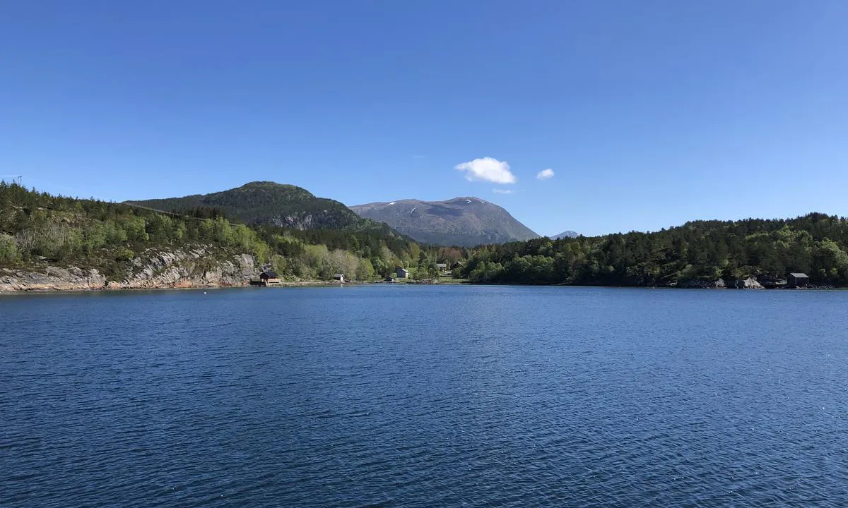 Tømmervågen: {"base": "no", "no": "T\u00f8mmerv\u00e5gen er en godt beskyttet havn og ligger idyllisk til vest p\u00e5 \u00f8ya Tustna. Her med utsikt til fjellene innafor.", "se": "T\u00f6mmerv\u00e5gen \u00e4r en v\u00e4l skyddad hamn och ligger idylliskt till v\u00e4ster p\u00e5 \u00f6n Tustna. H\u00e4r med utsikt mot bergen innanf\u00f6r.", "en": "T\u00f8mmerv\u00e5gen is a well-protected harbor and is idyllically situated on the west side of the island Tustna. Here with a view of the mountains inland.", "da": "T\u00f8mmerv\u00e5gen er en godt beskyttet havn og ligger idyllisk til vest p\u00e5 \u00f8en Tustna. Her med udsigt til bjergene indenfor."}