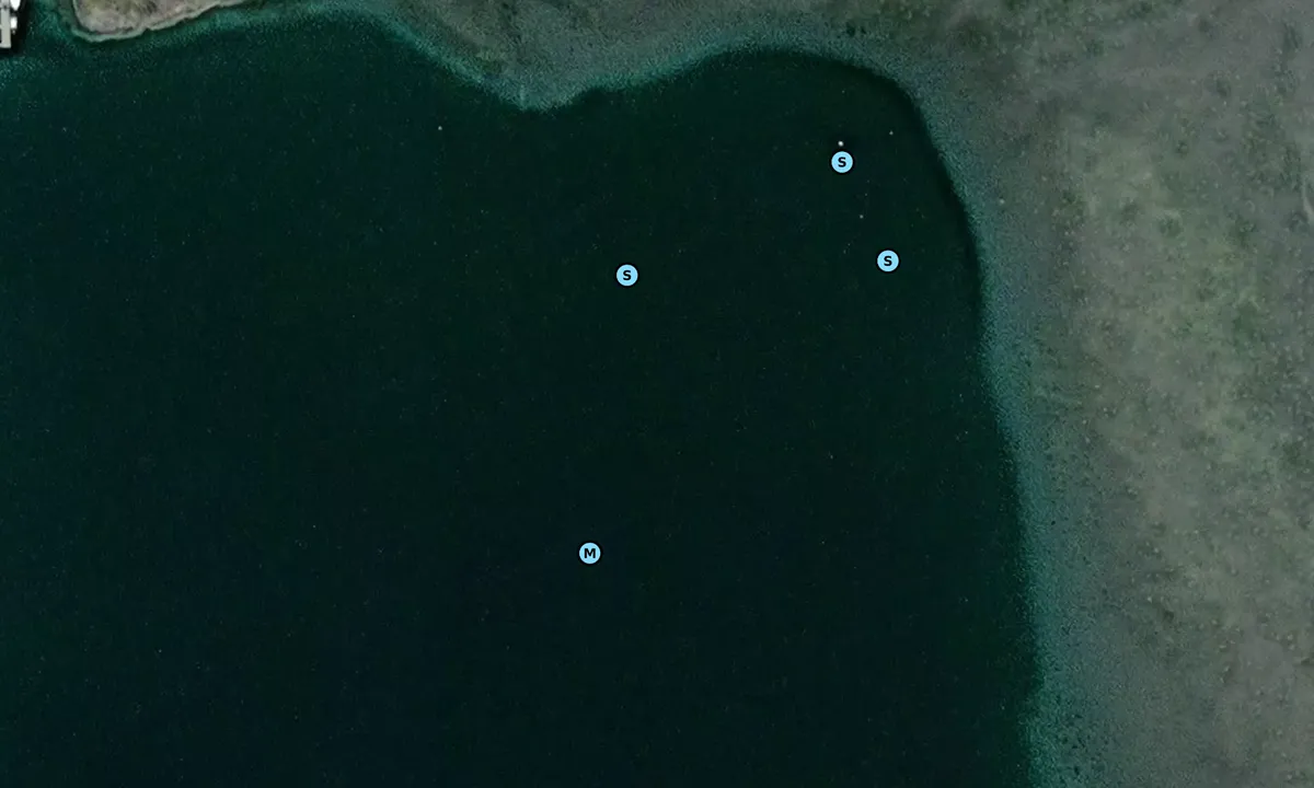 Satelite image of Tomsvika