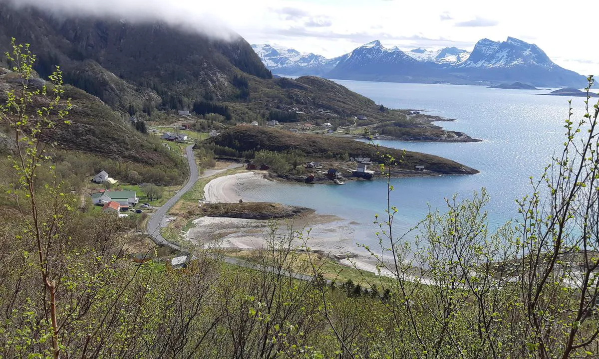 Tonnes Havn: {"base": "no", "no": "Badestrand like s\u00f8r for b\u00e5thavnen.", "se": "Badstrand strax s\u00f6der om b\u00e5thamnen.", "en": "Beach just south of the marina.", "da": "Badestrand lige syd for b\u00e5dehavnen."}