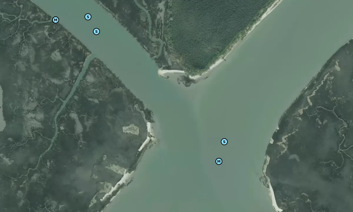 Satelite image of Toomer Creek