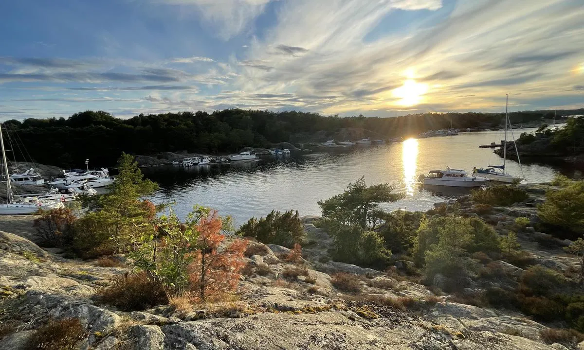 Tordenskioldbukta: Foto från Furuholmen, mot nordväst