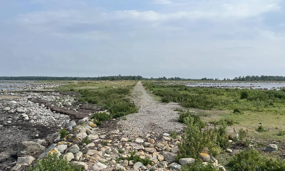 Torhamn Gästhamn: {"base": "no", "no": "Sv\u00e6rt flotte turomr\u00e5der i n\u00e6rheten.", "se": "V\u00e4ldigt fina omr\u00e5den f\u00f6r promenader i n\u00e4rheten.", "en": "Very nice hiking areas nearby.", "da": "Meget flotte turomr\u00e5der i n\u00e6rheden."}