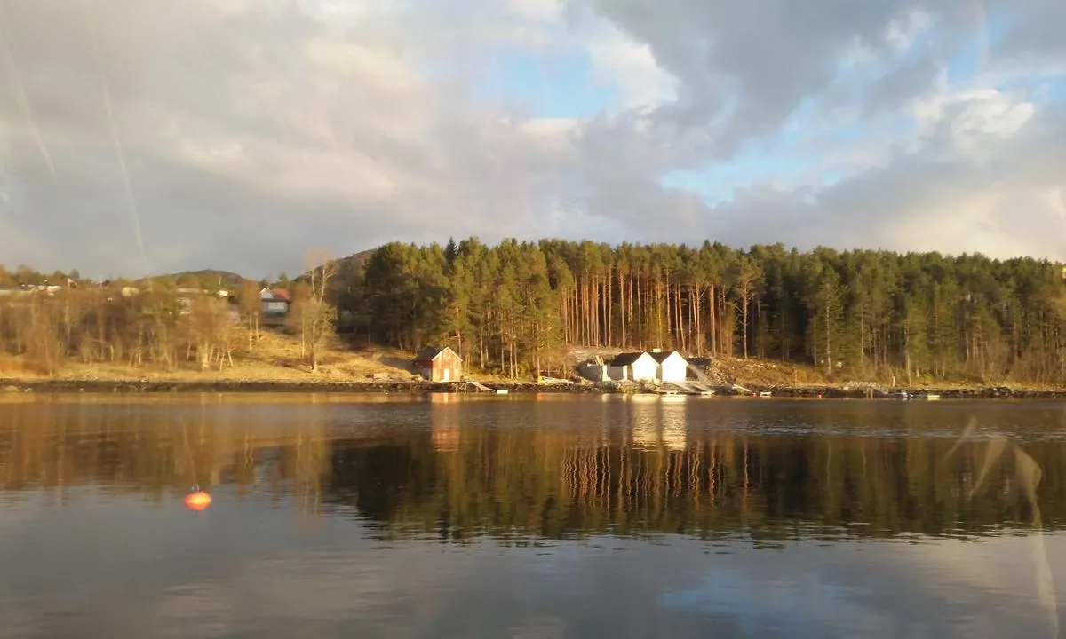 Tørlavågen: {"base": "no", "no": "Naust i T\u00f8rlav\u00e5gen.", "se": "Naust i T\u00f8rlaviken.", "en": "Boathouse in T\u00f8rlav\u00e5gen.", "da": "B\u00e5dehuse i T\u00f8rlav\u00e5gen."}
