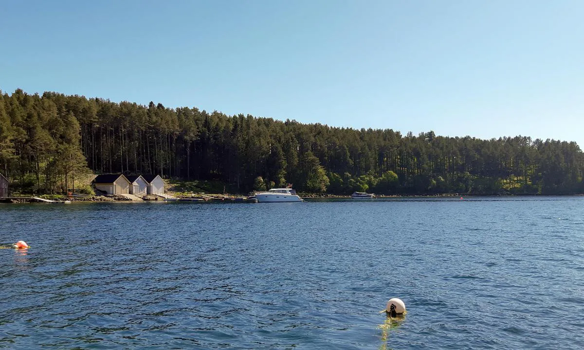 Tørlavågen: {"base": "no", "no": "Oppankret i T\u00f8rlav\u00e5gen.", "se": "Uppankrad i T\u00f8rlaviken.", "en": "Anchored in T\u00f8rlav\u00e5gen.", "da": "Forankret i T\u00f8rlav\u00e5gen."}