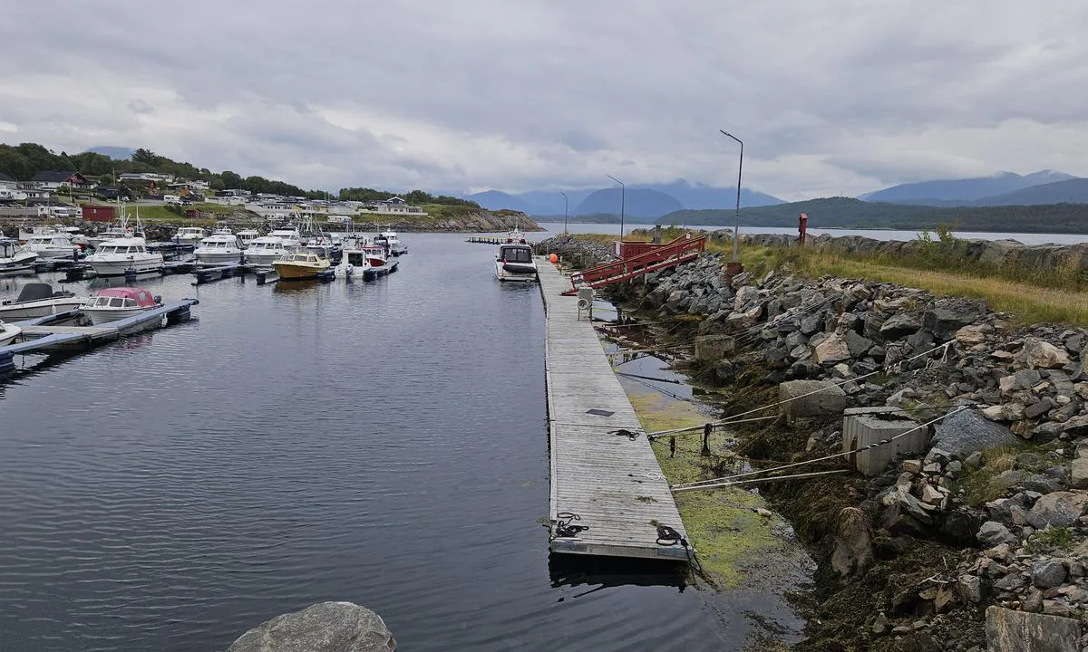 Tornes Småbåthavn: {"base": "no", "no": "Gjestebrygga sett fra ''land''", "se": "G\u00e4stbryggan sedd fr\u00e5n ''land''", "en": "The guest dock seen from ''shore''", "da": "G\u00e6stebroen set fra ''land''"}