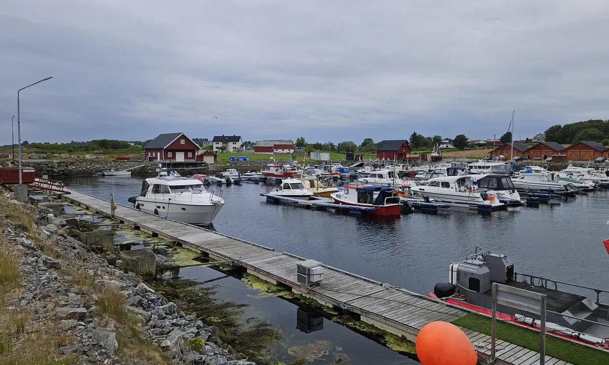 Tornes Småbåthavn: {"base": "no", "no": "Havnen med gjestebryggen i forgrunnen.", "se": "Hamnen med g\u00e4stbryggan i f\u00f6rgrunden.", "en": "The harbor with the guest dock in the foreground.", "da": "Havnen med g\u00e6stebroen i forgrunden."}