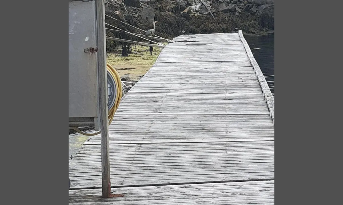 Tornes Småbåthavn: {"base": "no", "no": "Noe slitte brygger.", "se": "N\u00e5got slitna bryggor.", "en": "Some worn docks.", "da": "Noget slidte broer."}