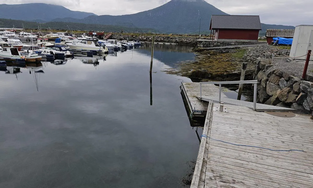 Tornes Småbåthavn: {"base": "no", "no": "Innseilingen til dieselbryggen, smalt og noe vanskelig \u00e5 tilpasse ved sidevind.", "se": "Inseglingen till dieselbryggan, smal och n\u00e5got sv\u00e5r att anpassa vid sidvind.", "en": "The approach to the diesel dock is narrow and somewhat challenging to maneuver in crosswinds.", "da": "Indsejlingen til dieselbroen er smal og noget vanskelig at anl\u00f8be ved sidevind."}