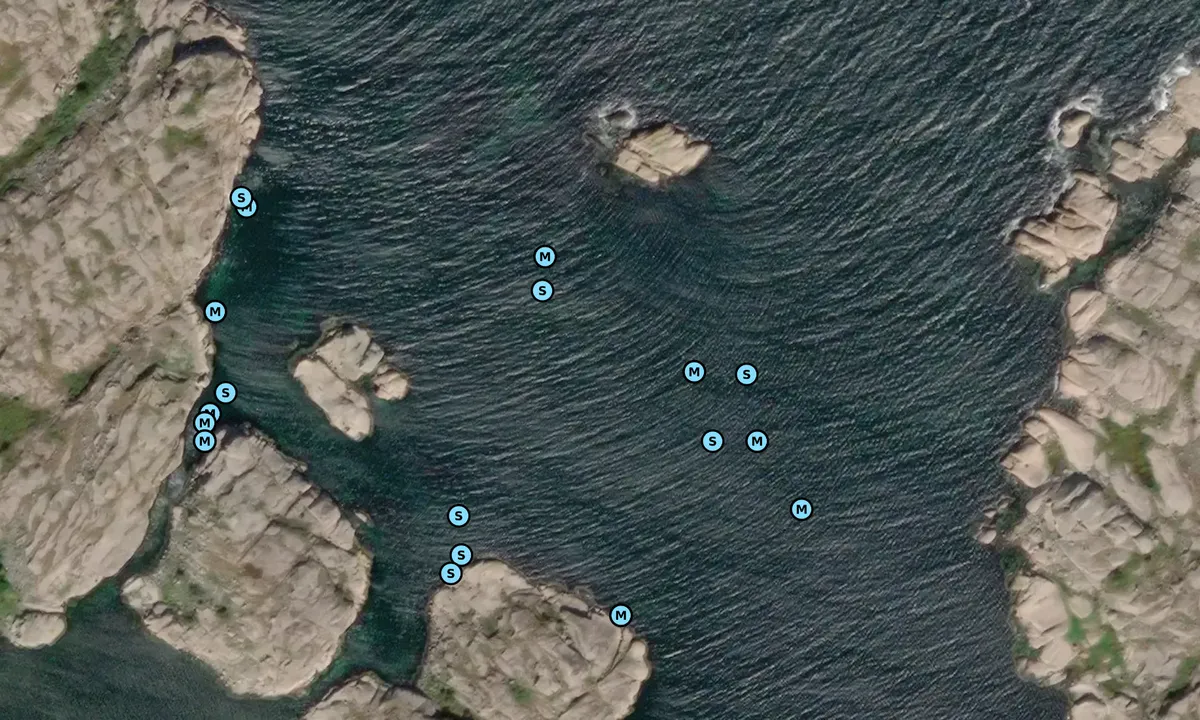 Satelite image of Tornholmen - Barlindarna