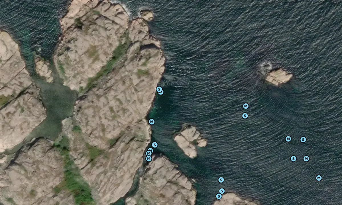 Satelite image of Tornholmen - Fiskebäckskil