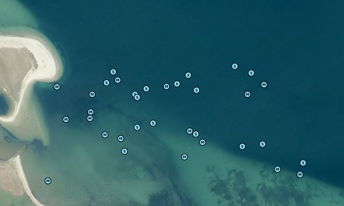Flyfoto av Torø bouy