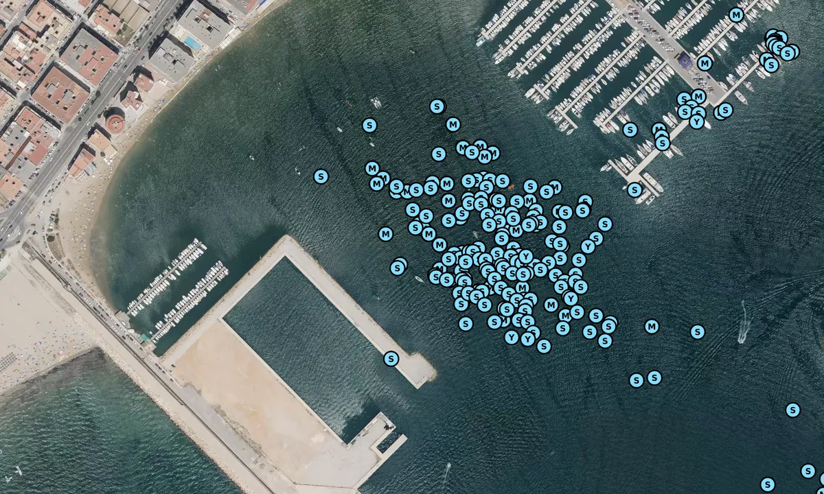 Satelite image of Torrevieja anchorage