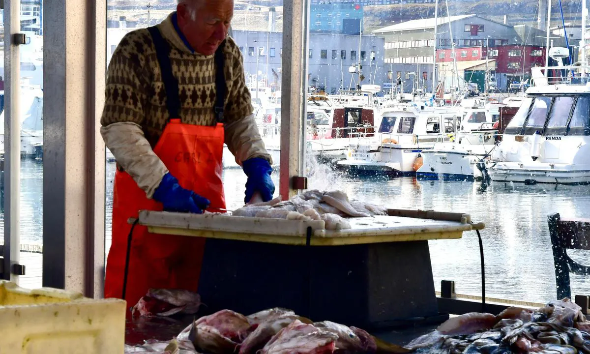 Torshavn: FISH MARKET