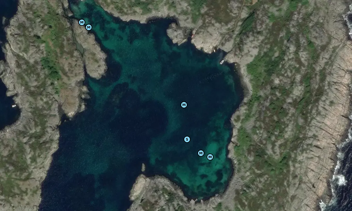 Satelite image of Torsøyvågen