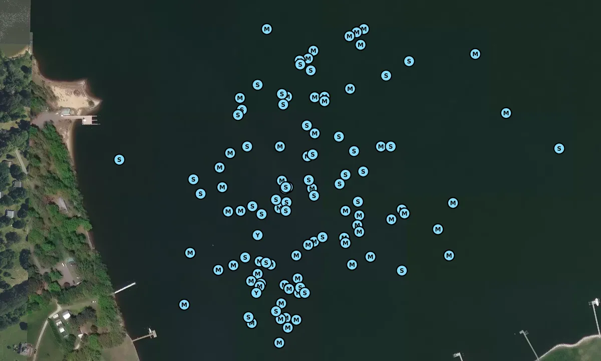 Satelite image of Town Point