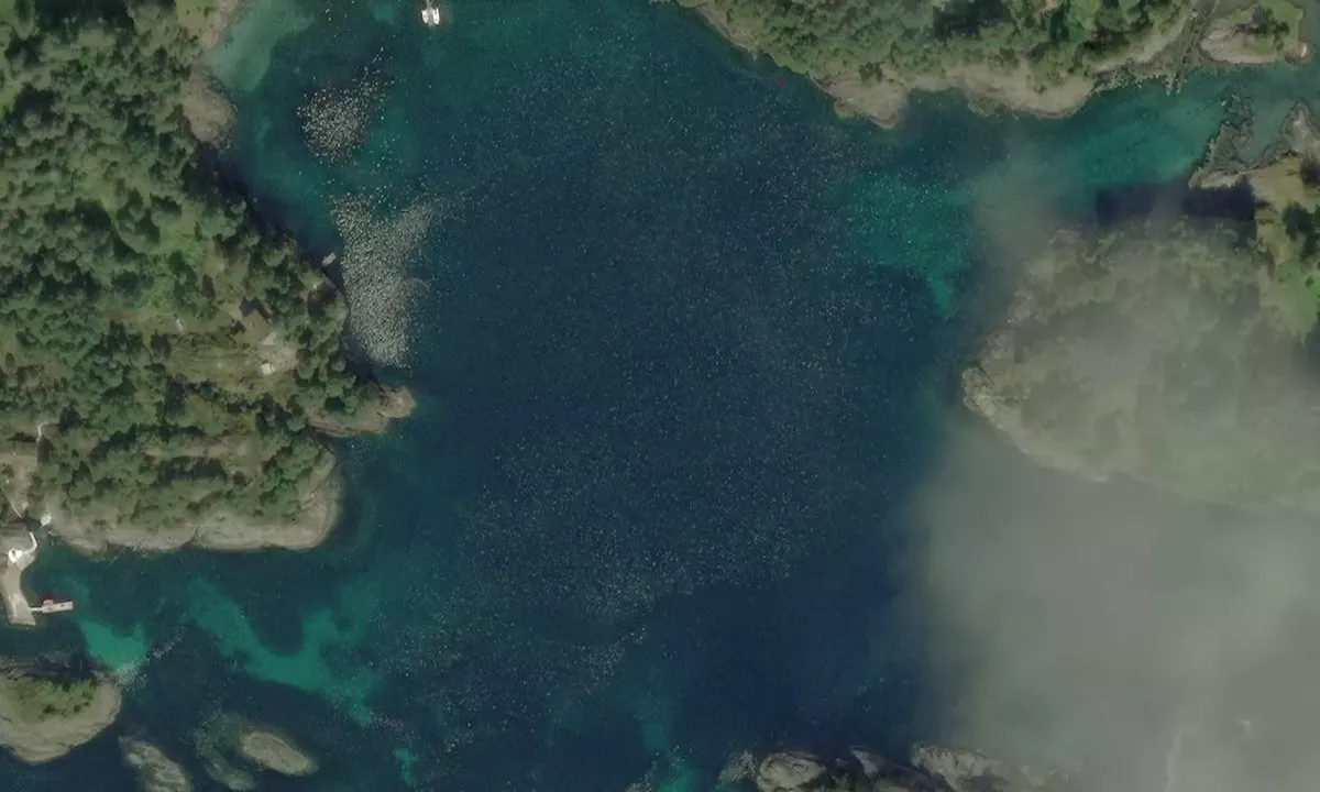 Satelite image of Trævika